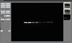 凝膠成像分析系統(tǒng)用途 凝膠成像分析系統(tǒng)功能