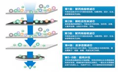 純化水設(shè)備主要有哪些功能？純化水設(shè)備功能介紹